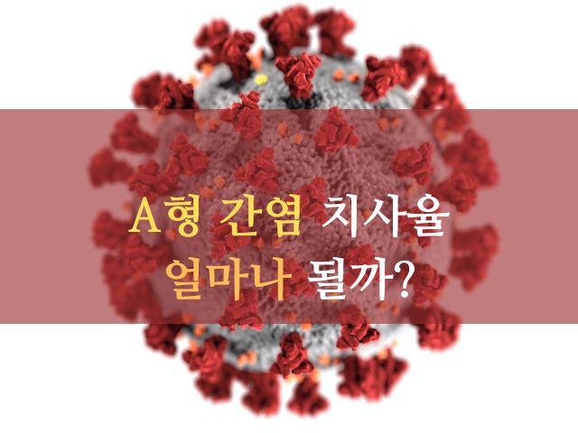 A형 간염: 치사율, 원인, 증상, 치료, 전염, 특징 알아보기!