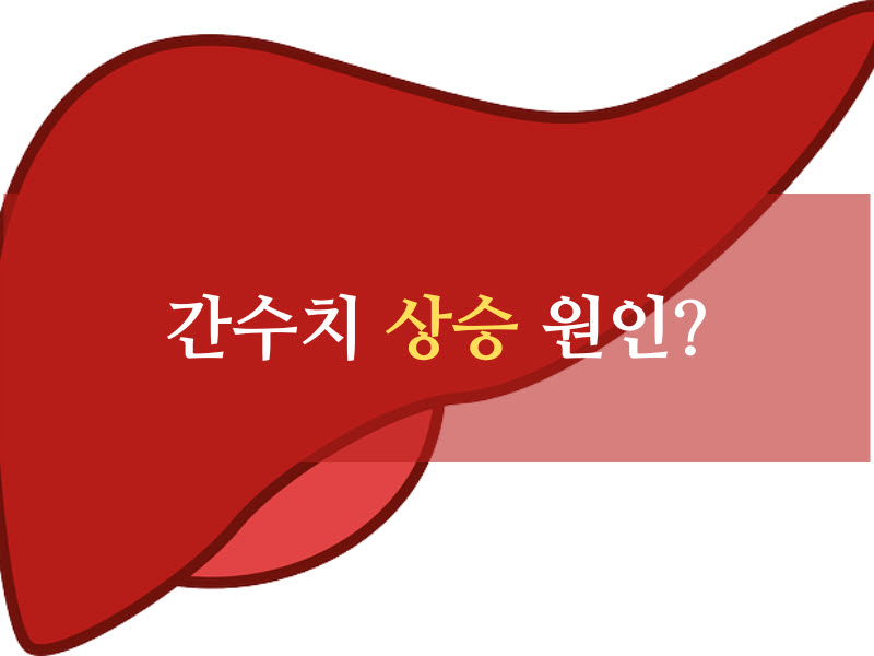 간수치 상승 원인이 무엇이며 간수치를 내리는 방법!