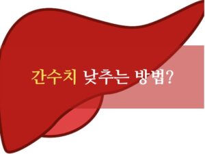 처방용 우루사