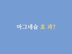 마그네슘 효과