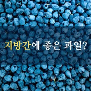 지방간에 좋은 과일