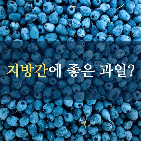 지방간에 좋은 과일 7가지 및 효능!