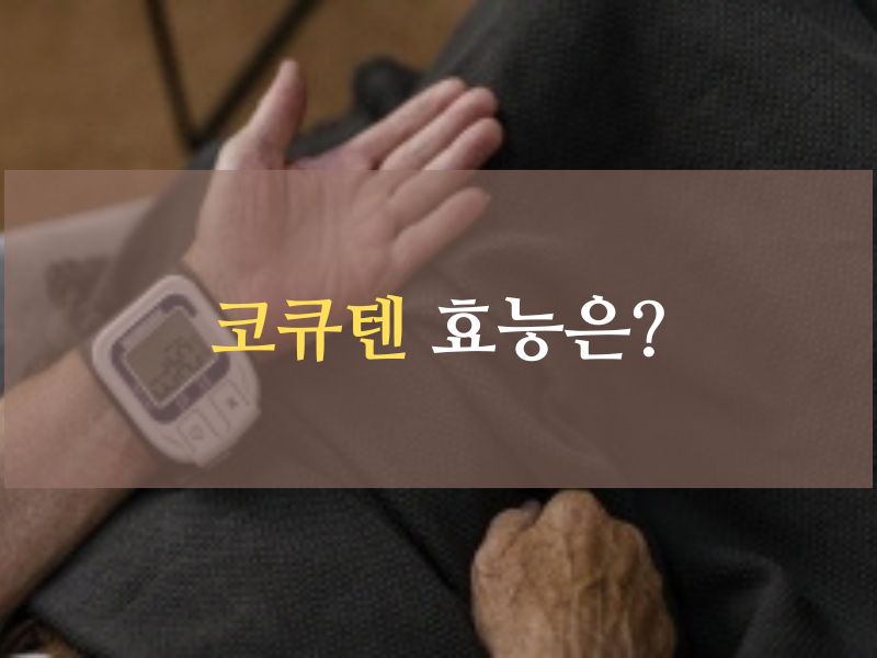 코엔자임Q10(코큐텐,CoQ10)효능? ,권장량,부작용,복용방법!