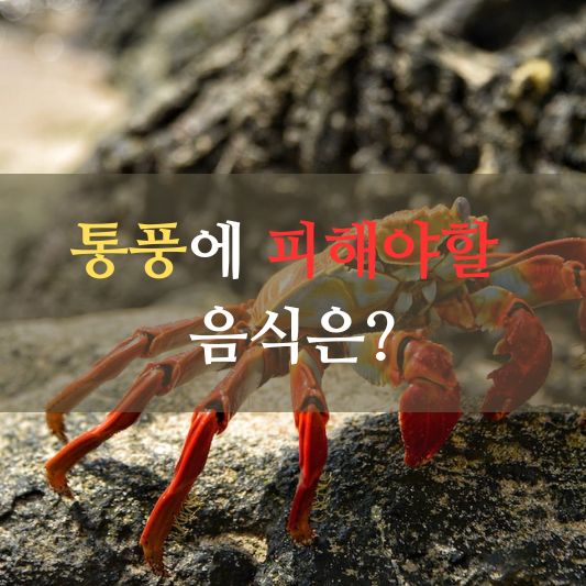 통풍에 피해야 할 음식 7가지!