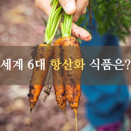 세계 6대 항산화 식품 및 효능!