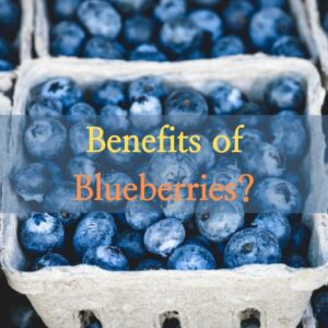 Benefits of Blueberries