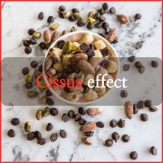 Cissus Effective Health Supplement – Cissus 1