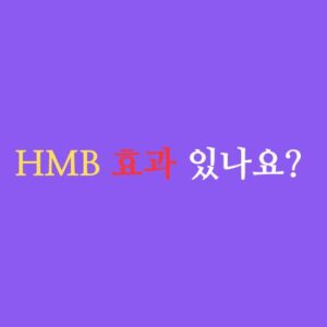 hmb 효능 연구