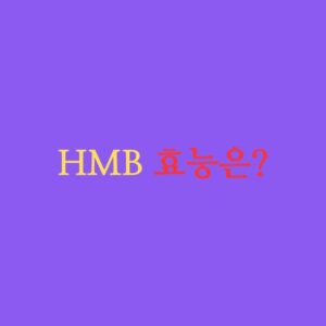 hmb 효능