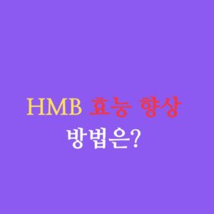 hmb 효능 향상 방법