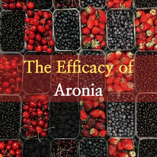 Efficacy of Aronia: Unlocking the Health Benefits of Aronia.