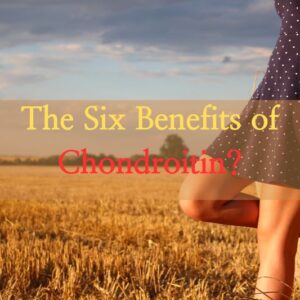 The Six Benefits of Chondroitin