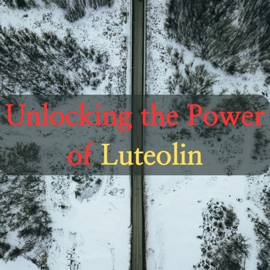 Unlocking the Power of Luteolin: How it Impacts Your Brain.