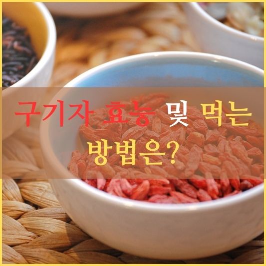 구기자 효능 및 먹는 방법 알아보기!: 자연의 보물 구기자