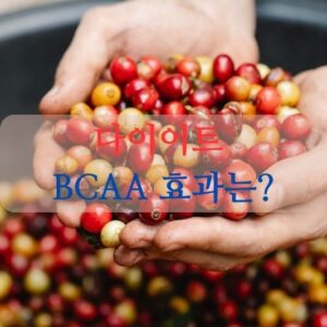 다이어트 BCAA