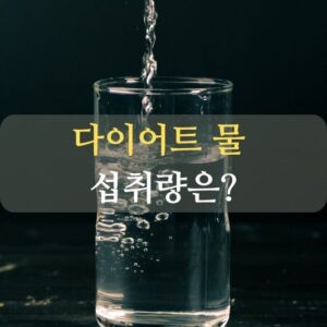 다이어트 물 섭취량