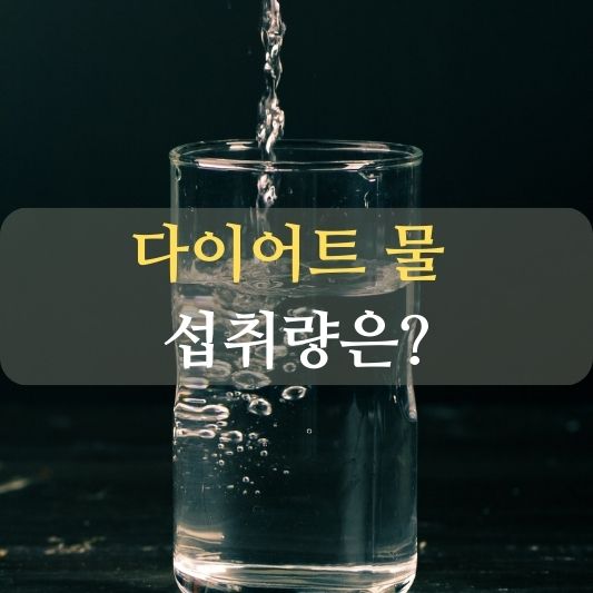 다이어트 물 섭취량 알아보기!: 건강한 다이어트를 위한 비밀