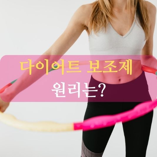 다이어트 보조제 원리 알아보기!: 건강하고 효과적인 다이어트를 위한 비밀 공개.