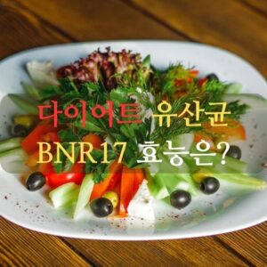 다이어트 유산균 BNR17