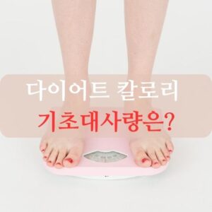 다이어트 칼로리 기초대사량