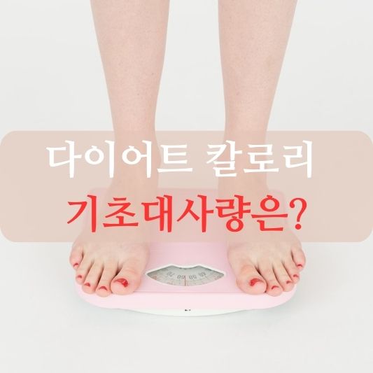 다이어트 칼로리 기초대사량 알아보기!: 건강한 체중 감량의 첫걸음