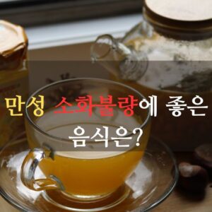 만성 소화불량에 좋은 음식