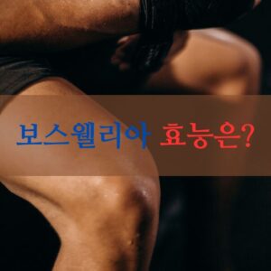 보스웰리아 효능