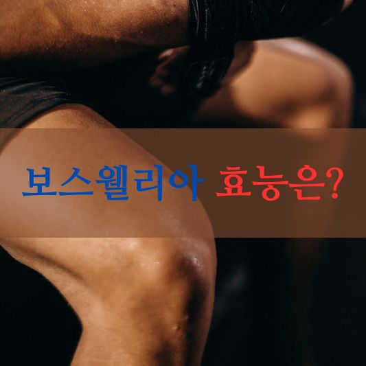 보스웰리아 효능: 관절 건강과 면역에 미치는 영향을 알아보기!