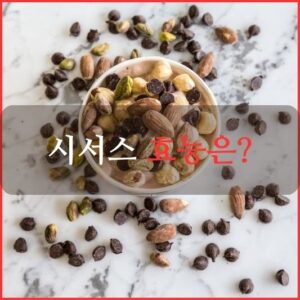 시서스 효능