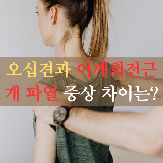 오십견과 어깨 회전근개 파열 차이점은 무엇 일까요?