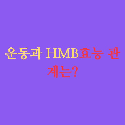 운동과 HMB 효능: 더 나은 건강과 근육 발달을 위한 열쇠