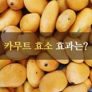 카무트 효소 효능