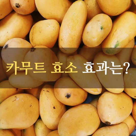 카무트 효소 효능 알아보기!: 자연의 비밀, 건강한 생활을 위한 열쇠