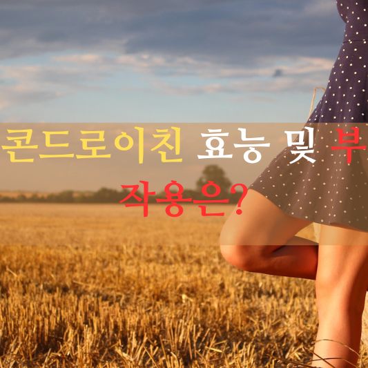 콘드로이친 효능 및 부작용 알아보기!