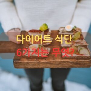 다이어트 식단 6가지