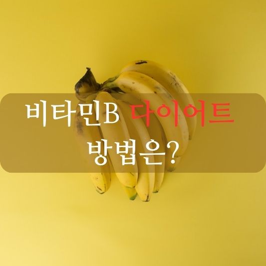 비타민B 다이어트 방법 알아보기1: 건강한 몸매를 위한 최상의 선택