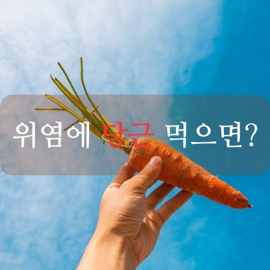 위염에 당근 먹으면: 당근의 효과와 조리법!