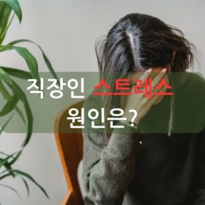 직장인 스트레스 원인