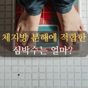 체지방 분해