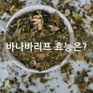 바나바리프 효능