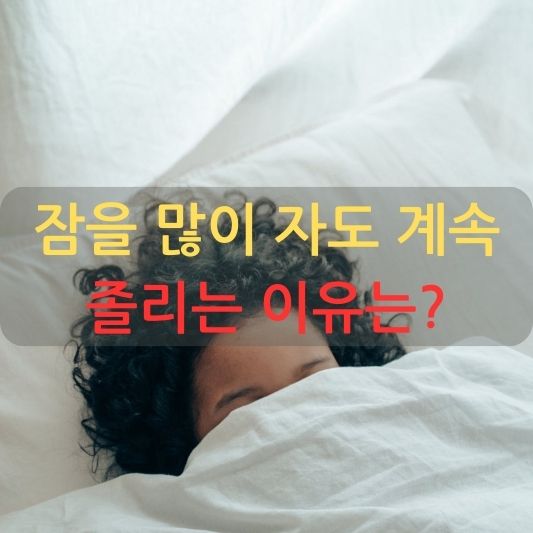 잠을 많이 자도 졸리는 이유, 의외였습니다.