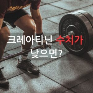 크레아티닌 수치가 낮으면