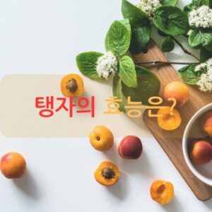 탱자의 효능