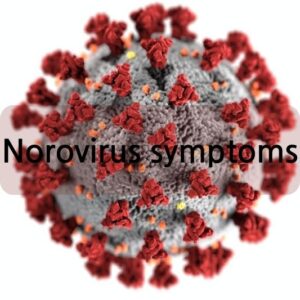 norovirus symptoms