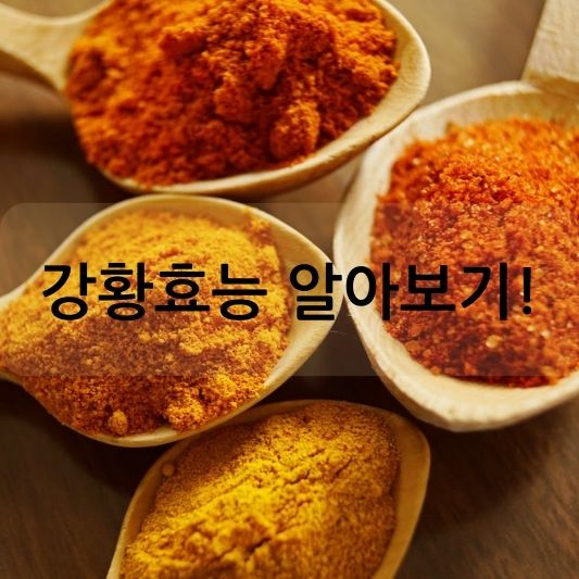 강황 효능: 염증, 항산화, 암 예방 등에 효과