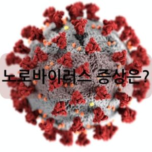 노로바이러스 증상