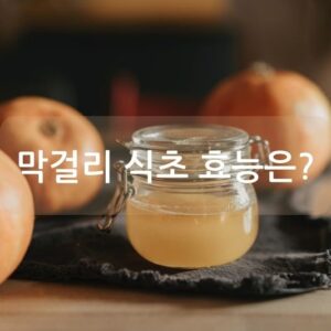 막걸리식초