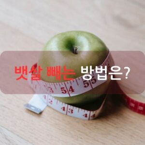 뱃살 빼는 방법