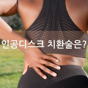 인공디스크 치환술