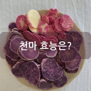 천마 효능